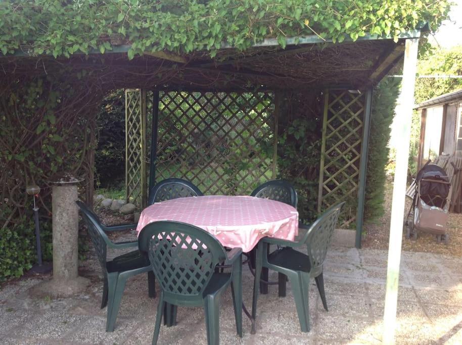 Charmante maison jardin à 100 mètres du Clos Lucé Amboise Esterno foto